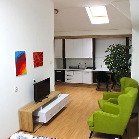 Krasny Priestranny Slnecny Apartman V Centre Mesta Trenčín Dış mekan fotoğraf