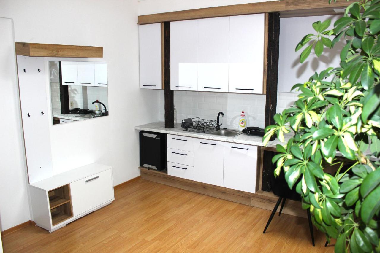 Krasny Priestranny Slnecny Apartman V Centre Mesta Trenčín Dış mekan fotoğraf