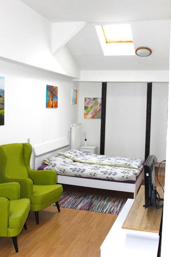Krasny Priestranny Slnecny Apartman V Centre Mesta Trenčín Dış mekan fotoğraf