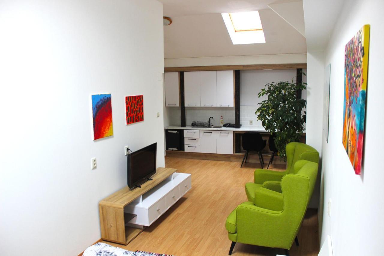 Krasny Priestranny Slnecny Apartman V Centre Mesta Trenčín Dış mekan fotoğraf